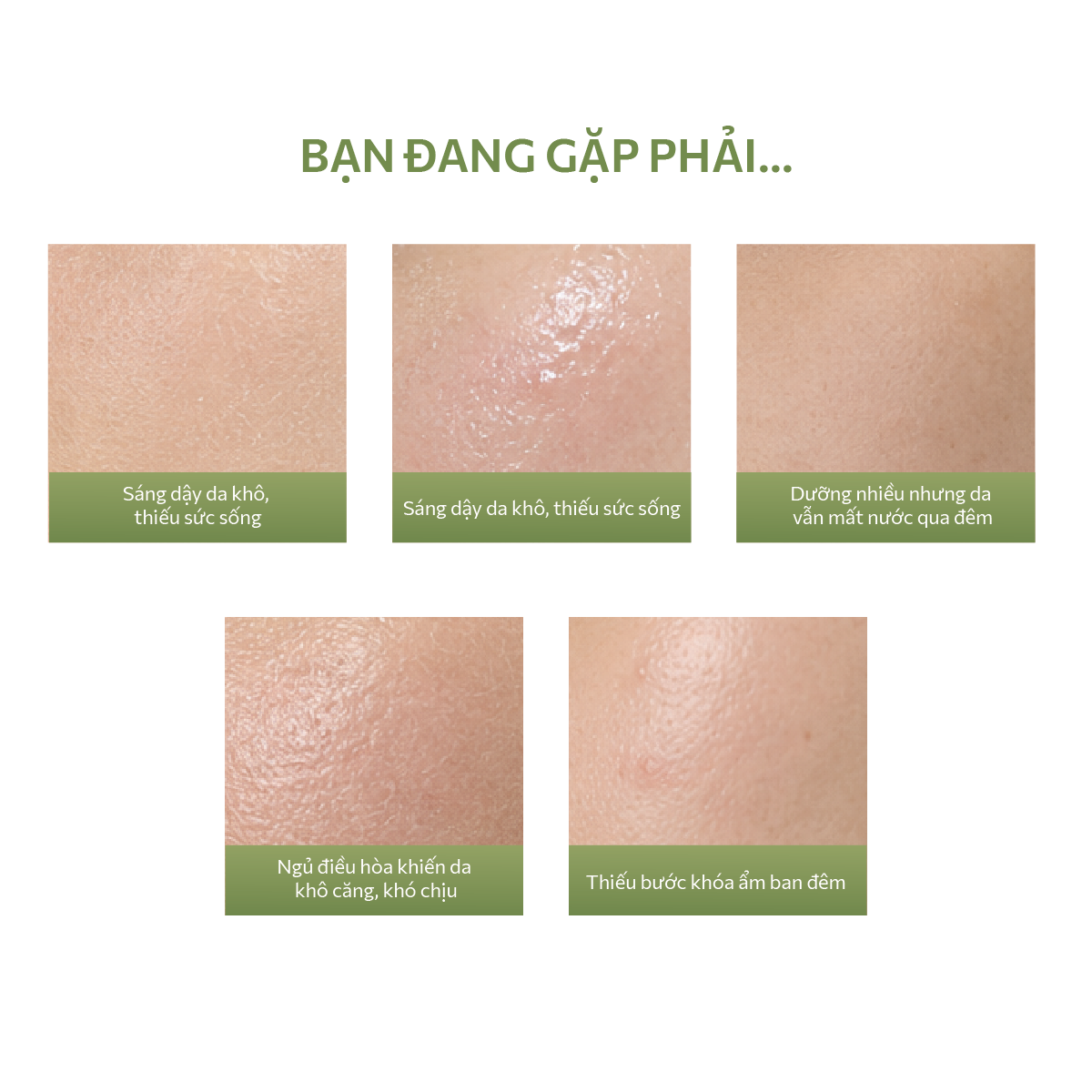 Mặt nạ ngủ dưỡng ẩm làm sáng da trà xanh Mooncat ALWAYS BE PURE 75ML